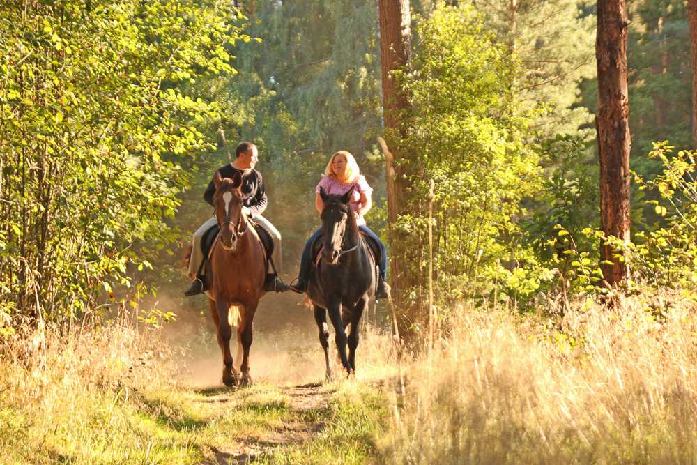 Experience nature in the countryside on horseback
